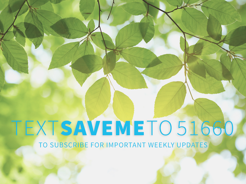 Text overlay on green leaves encouraging subscription for health updates, emphasizing "TEXT SAVEME TO 51660" for important weekly information.