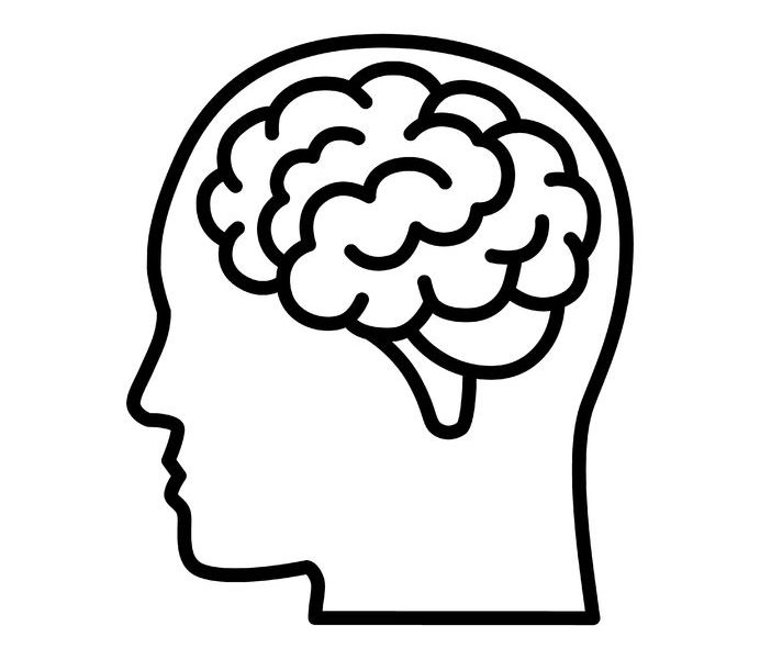 Illustration of a human head silhouette with a brain, symbolizing mental health and cognitive function, relevant to health insurance and wellness discussions.