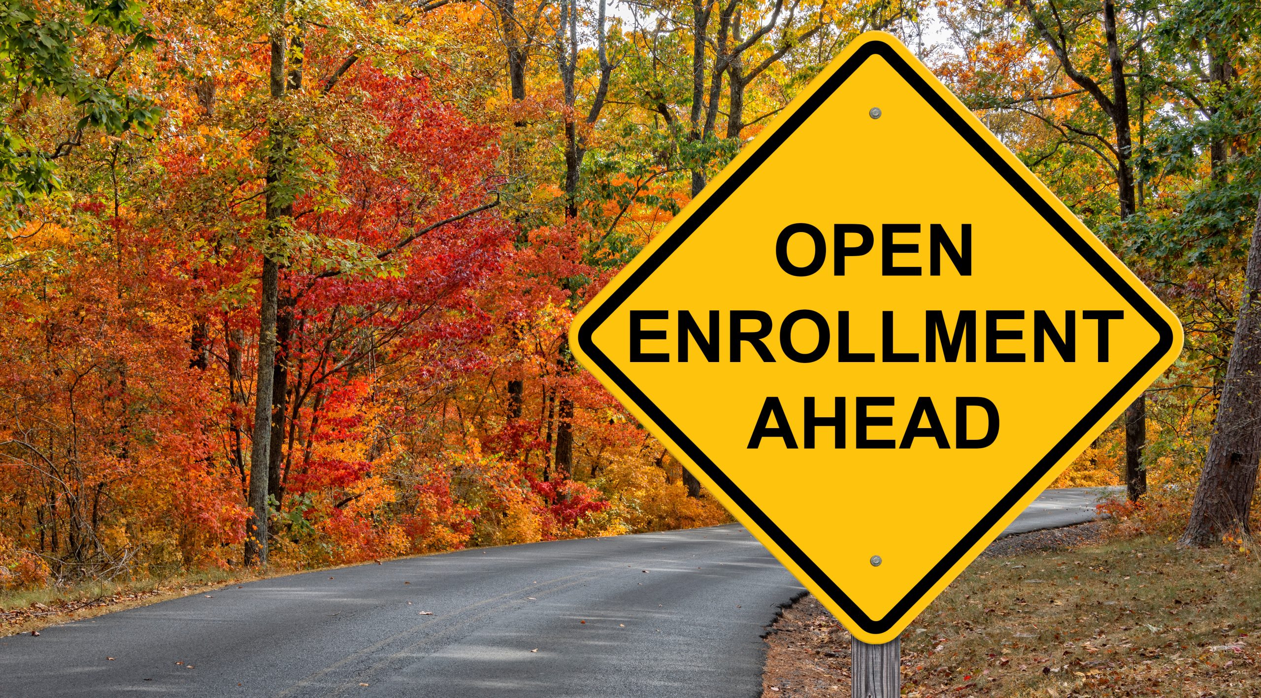 Open enrollment ahead sign in vibrant autumn forest setting, emphasizing health insurance advisory services and proactive decision-making.